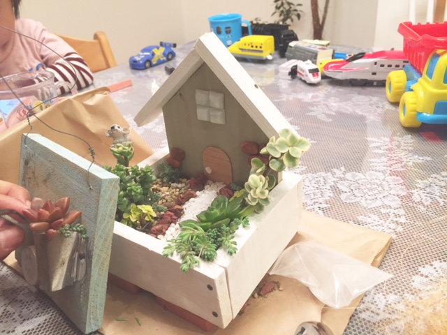 多肉植物箱庭　ロハスフェスタ万博2016