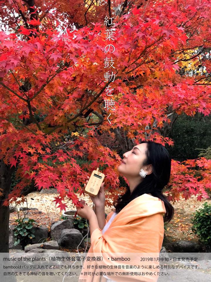 大地の種｜植物音楽　Music of the plants