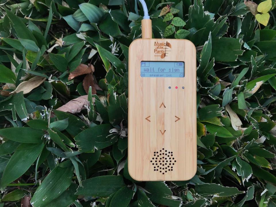 植物音楽ユニット・大地の種｜Plants