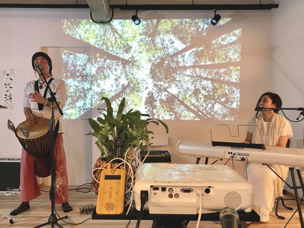 植物音楽　バンブー