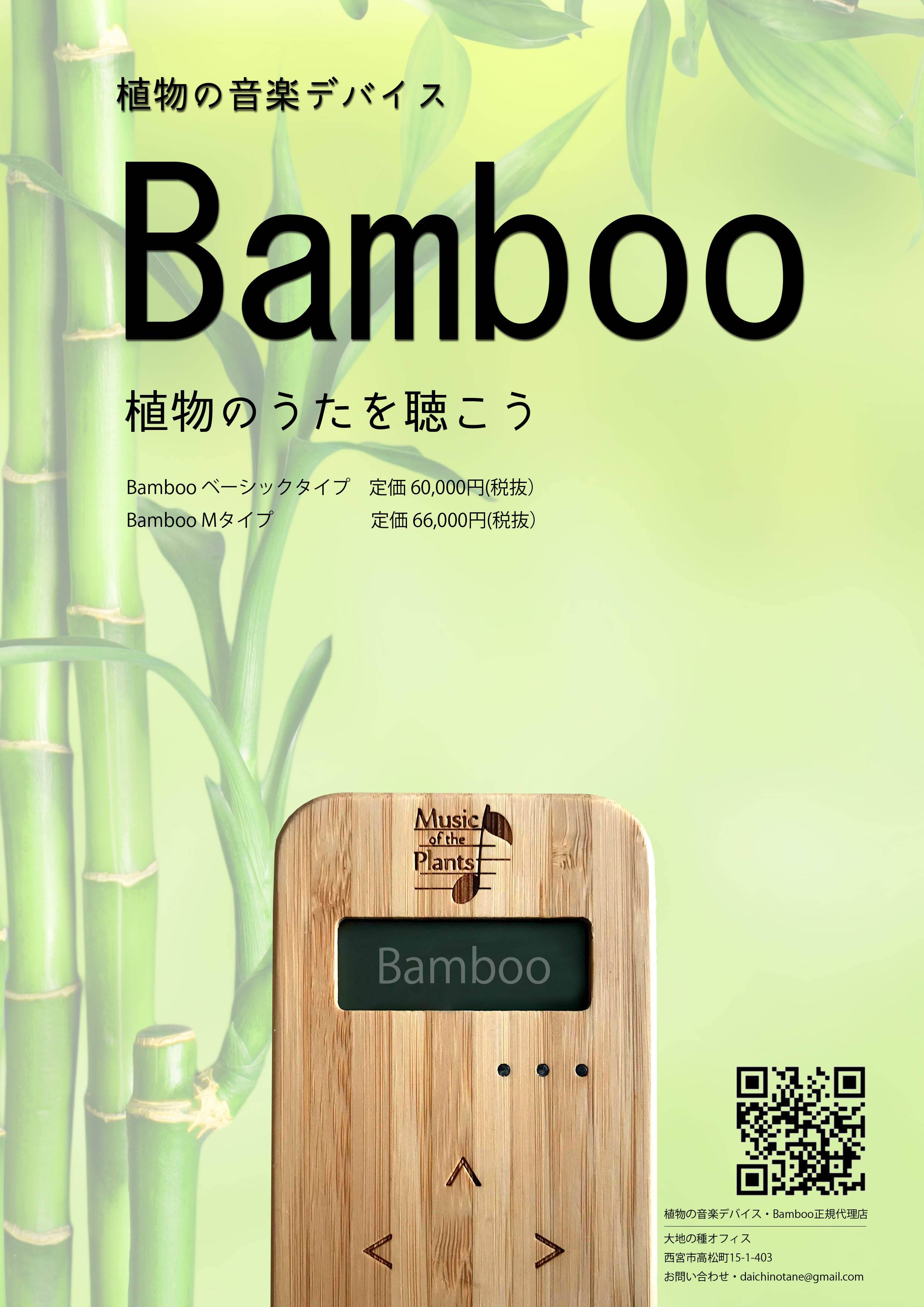 植物音楽 | Kackey@dabigtree OFFICIAL SITE