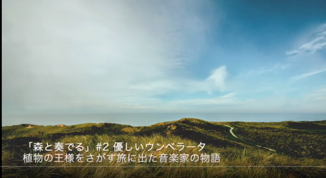 想像力を育むラジオドラマ　”森と奏でる” 2｜優しいウンベラータ｜音楽担当：大地の種