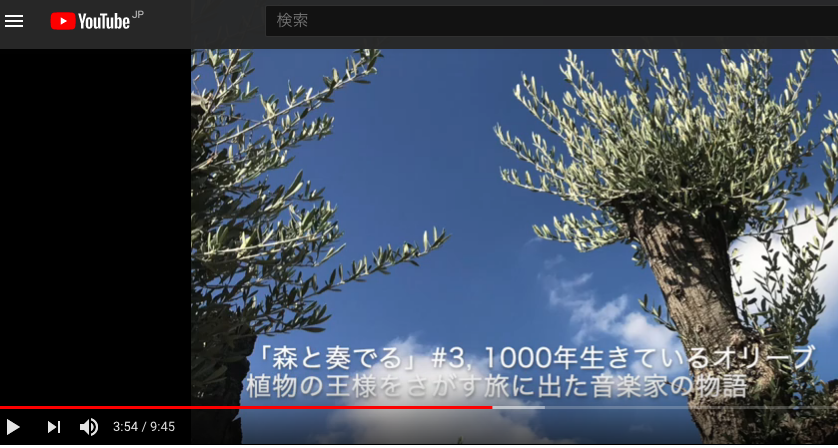 ラジオドラマ「森と奏でる」植物の王様をさがす旅に出た音楽家の物語 #3, 1000年生きているオリーブ