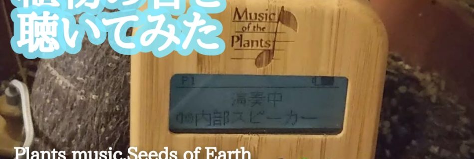 植物の音を聴いてみた｜植物音楽