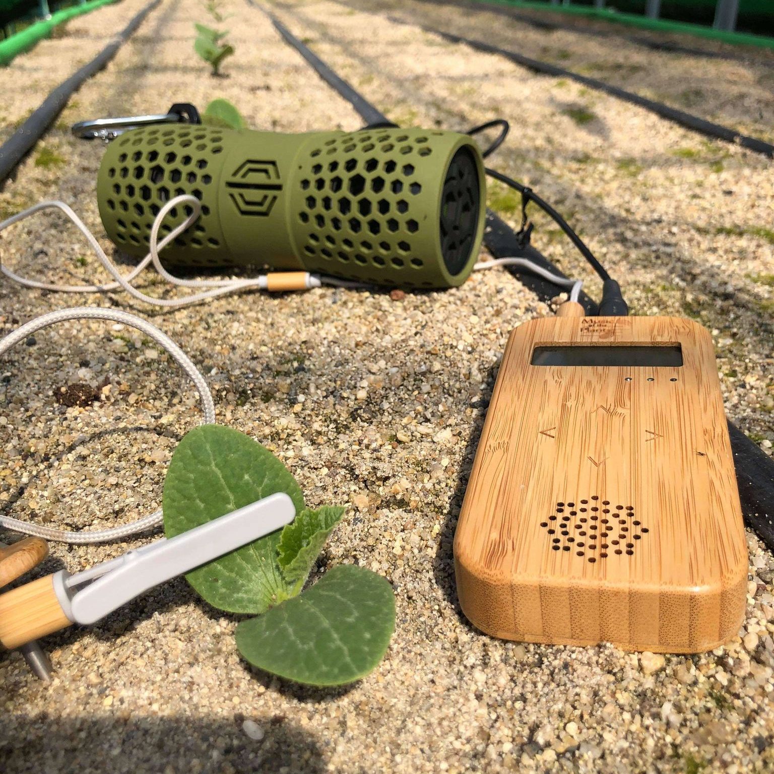 MUSIC OF THE PLANTS/植物音楽