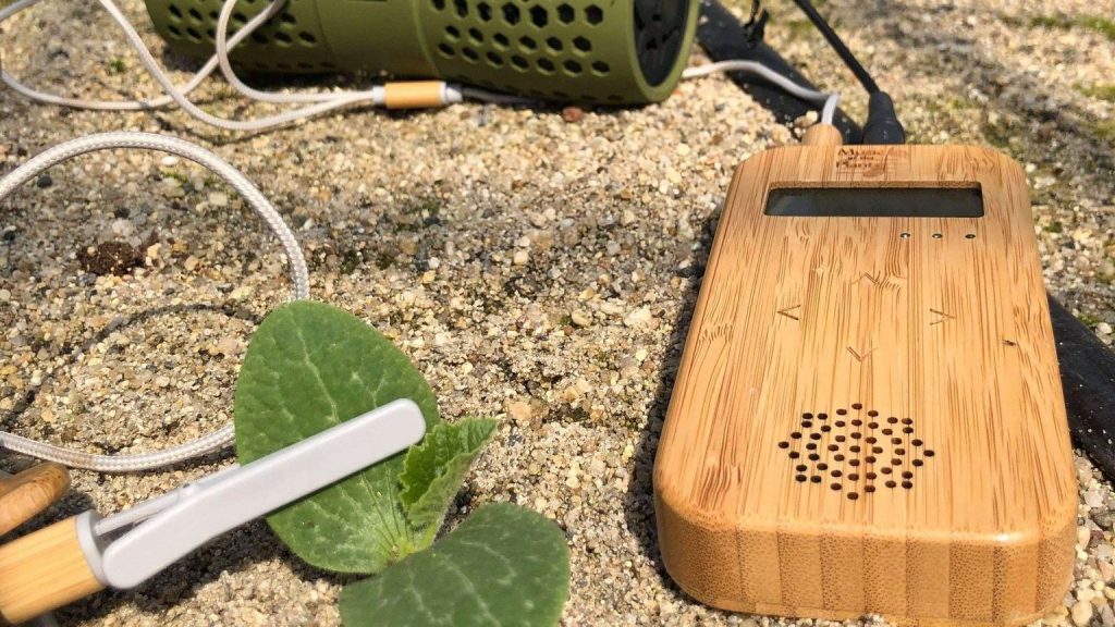 MUSIC OF THE PLANTS/植物音楽