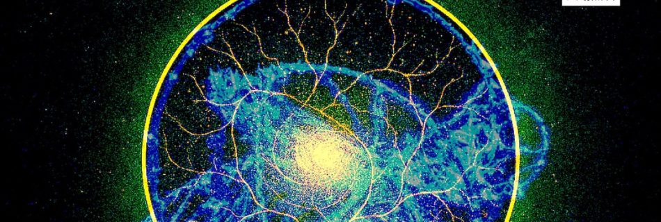 【平賀茉莉 × 大地の種 コラボレーション】アートと音楽のコラボパフォーマンス「響創」