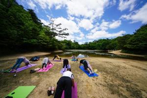 18671138 1351517984945208 5675304324157731752 n