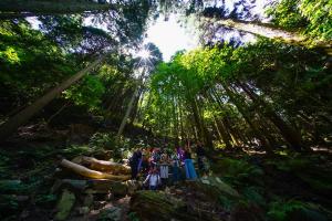 18671239 1351520198278320 926209966559480846 n