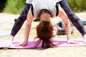 18671254 1351518314945175 7559452250597243052 n