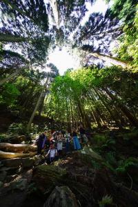 18699418 1351520191611654 5363052580875441211 o