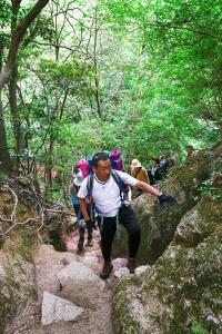 18738338 1351516088278731 3600646026860123954 o