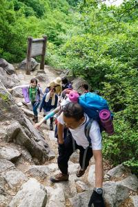 18738363 1351516111612062 8053854336755957219 o