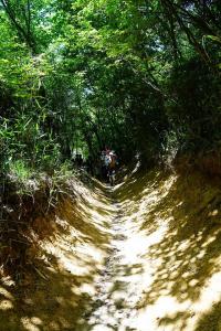 18738856 1351519654945041 3350433245272394935 o