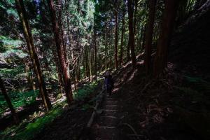 18739662 1351520114944995 3459848962250342062 n